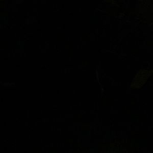 Meet your Posher, Evan